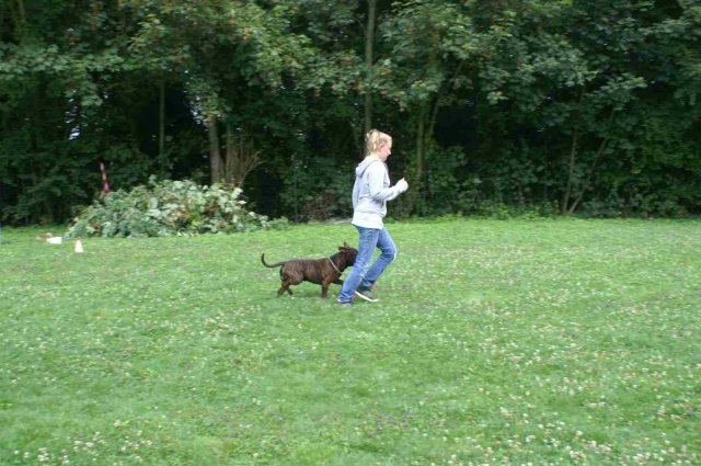 obeissance 2014-08-02